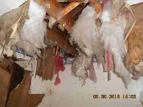 8619 Bryden (13)_m.jpg